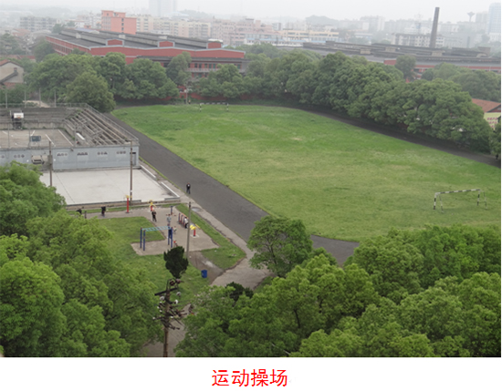 运动场