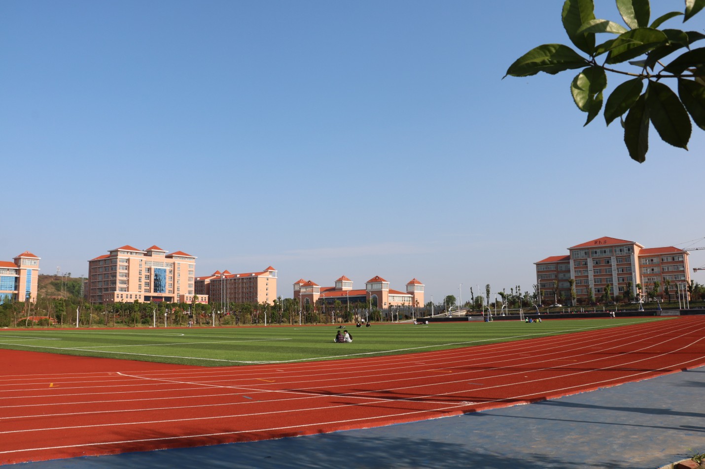 运动场